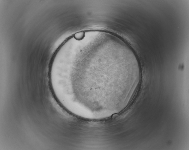 X0000111941422200908241129