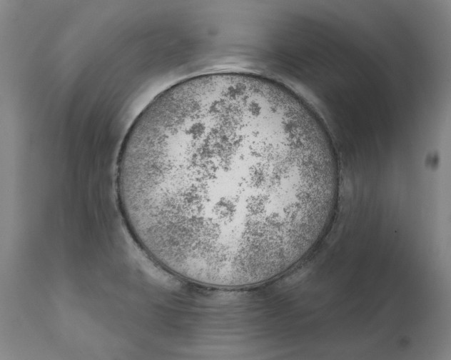 X0000111941423200908241129