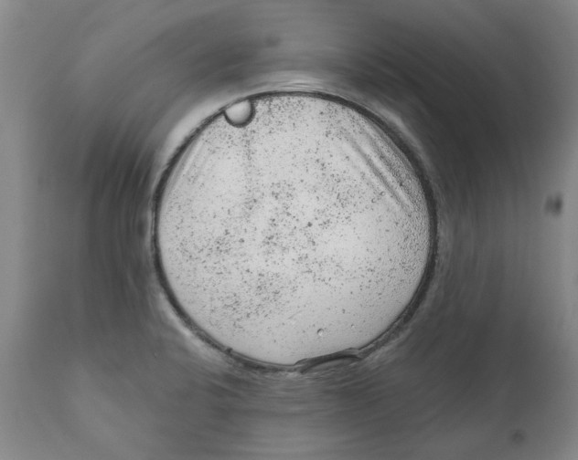 X0000111941424200908241129