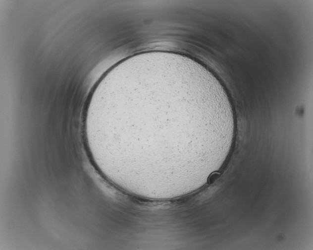 X0000111941426200908241129