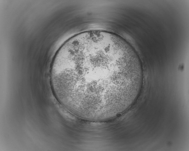 X0000111941427200908241129