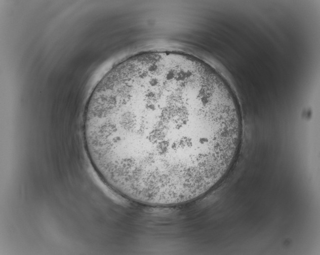 X0000111941429200908241130