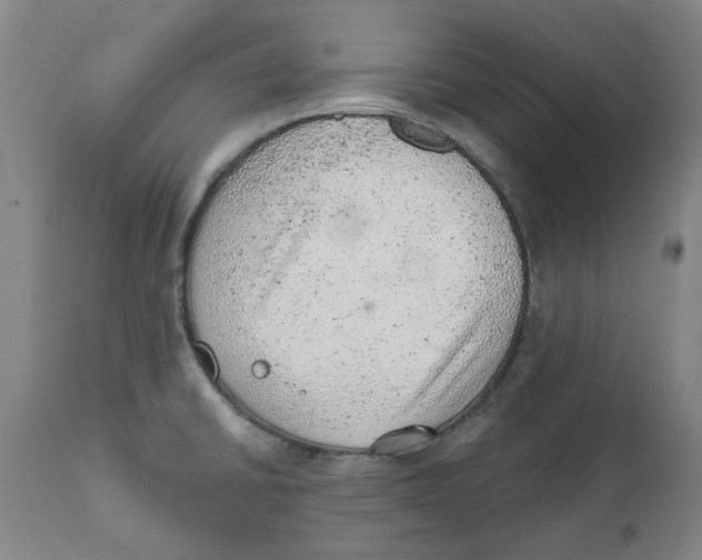 X0000111941430200908241130