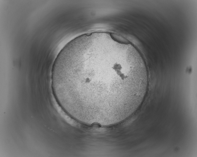 X0000111941431200908241130