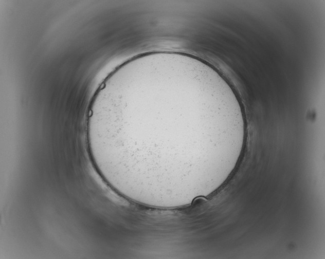 X0000111941432200908241130