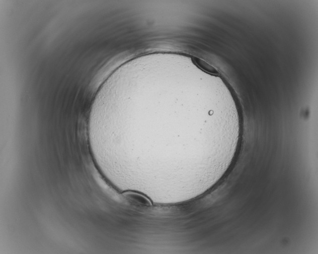 X0000111941433200908241130