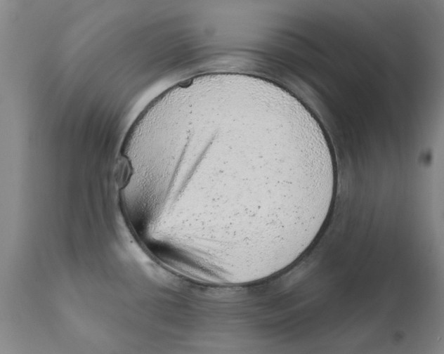 X0000111941434200908241130