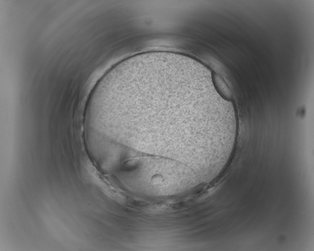 X0000111941435200908241130