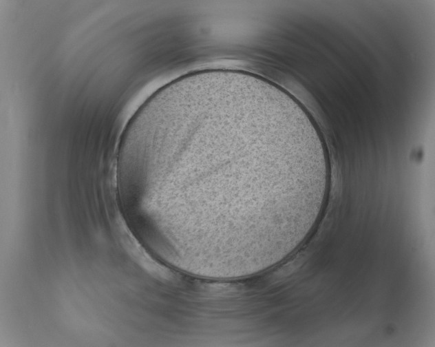 X0000111941436200908241130