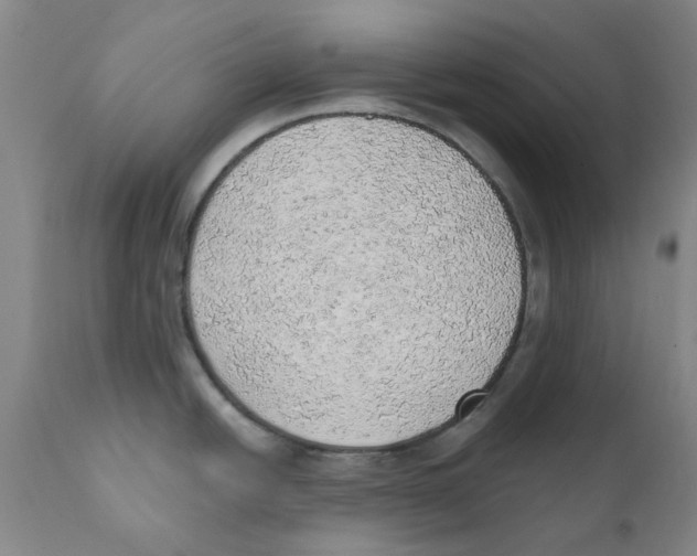 X0000111941438200908241130