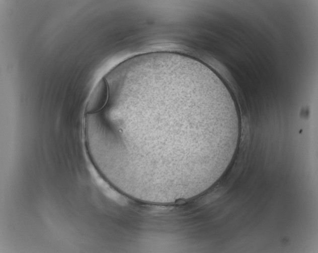 X0000111941439200908241130