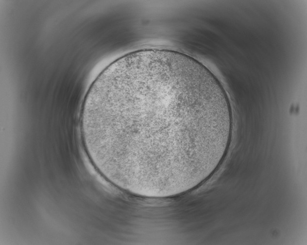 X0000111941440200908241130