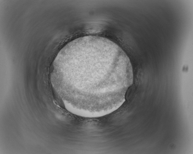 X0000111941441200908241129