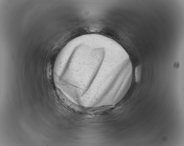 X0000111941443200908241129