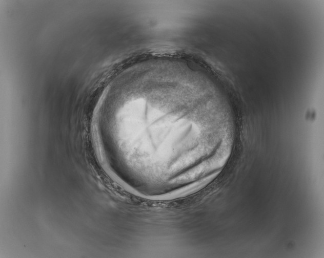 X0000111941445200908241129