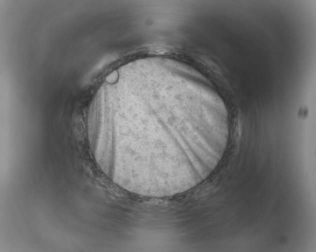 X0000111941446200908241129