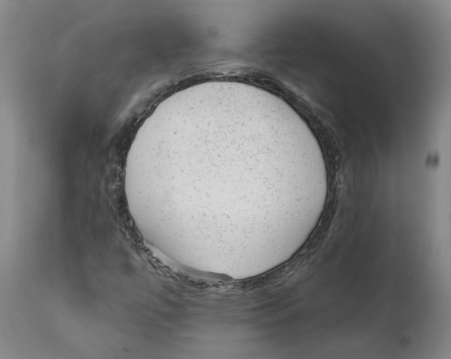 X0000111941447200908241129