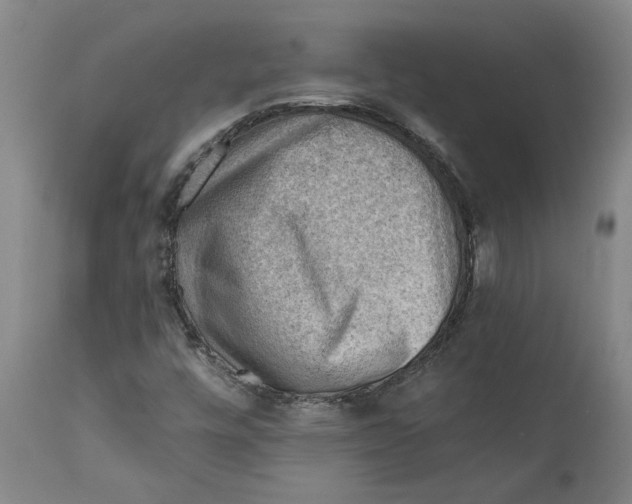 X0000111941448200908241129