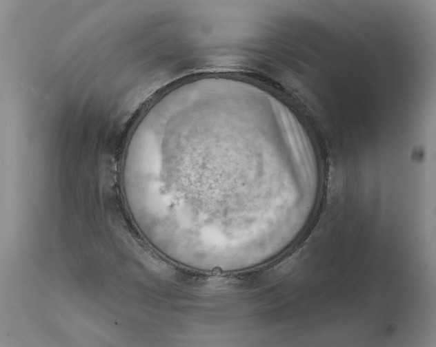 X0000111941449200908241129