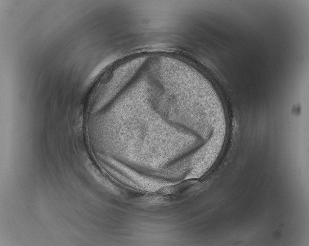 X0000111941450200908241129