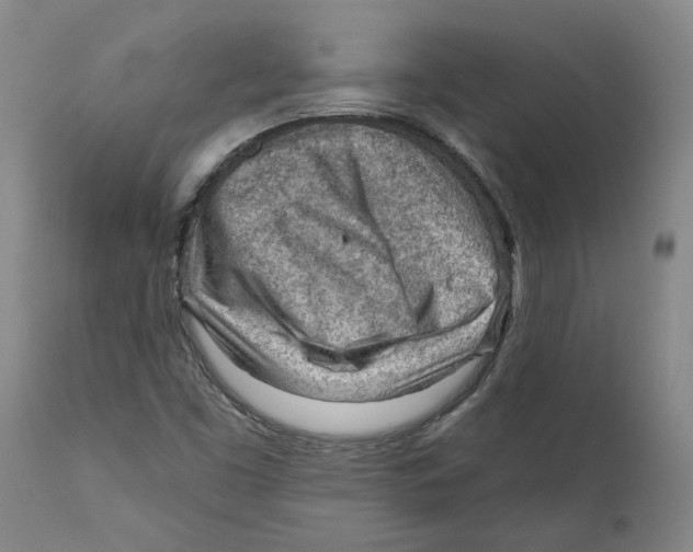 X0000111941453200908241129