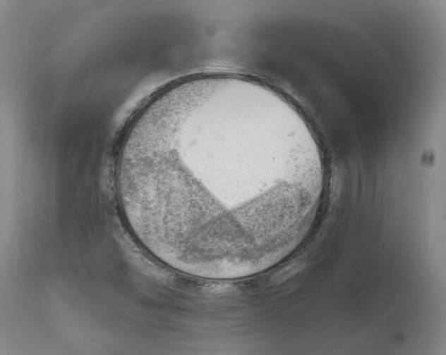 X0000111941454200908241129