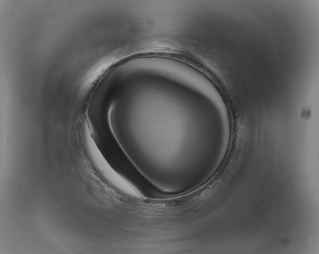 X0000111941455200908241129