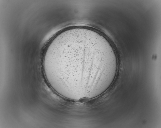 X0000111941456200908241129