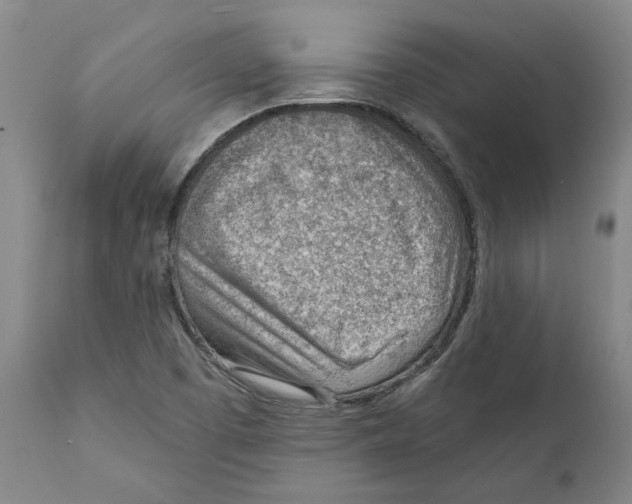 X0000111941457200908241129