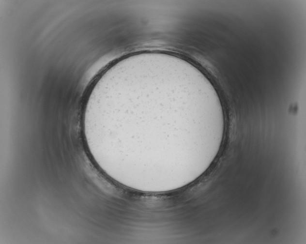 X0000111941458200908241129