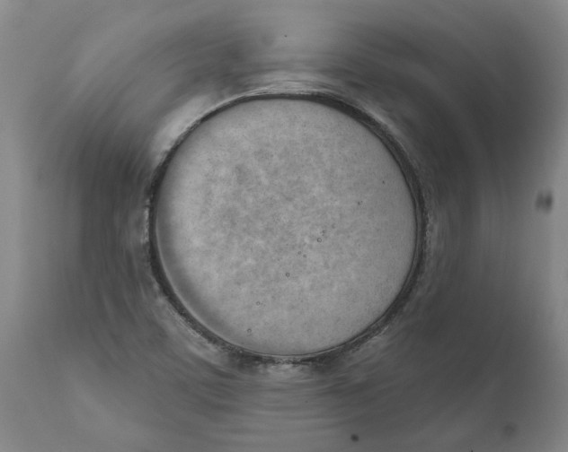 X0000111941459200908241129