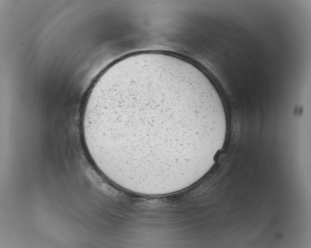 X0000111941460200908241129