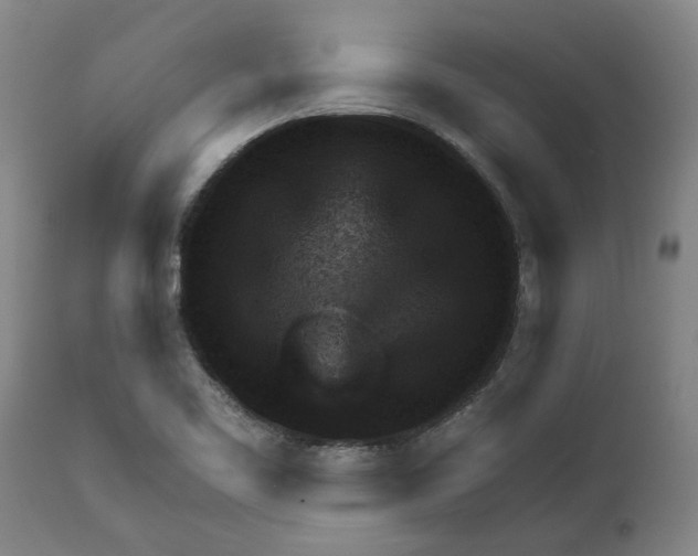 X0000111941461200908241129