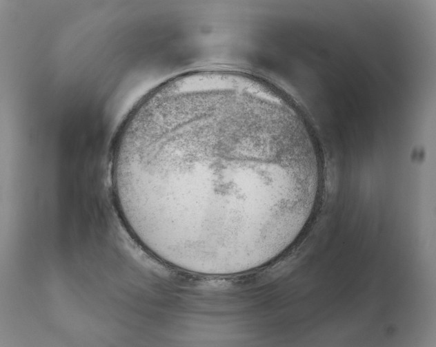 X0000111941462200908241129