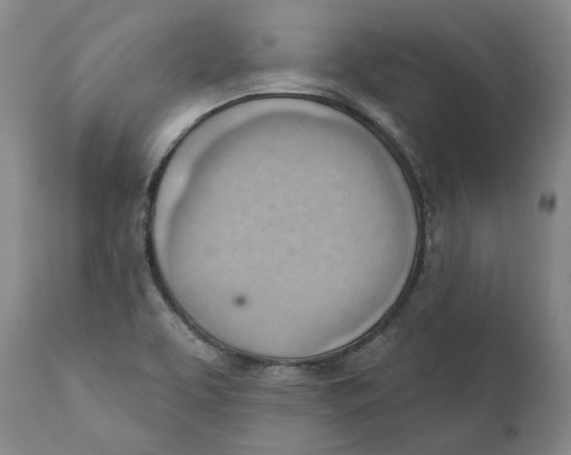 X0000111941463200908241129