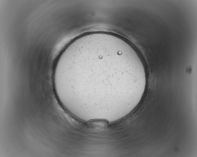 X0000111941464200908241129