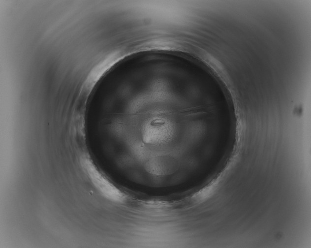 X0000111941465200908241128