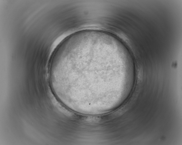 X0000111941466200908241128