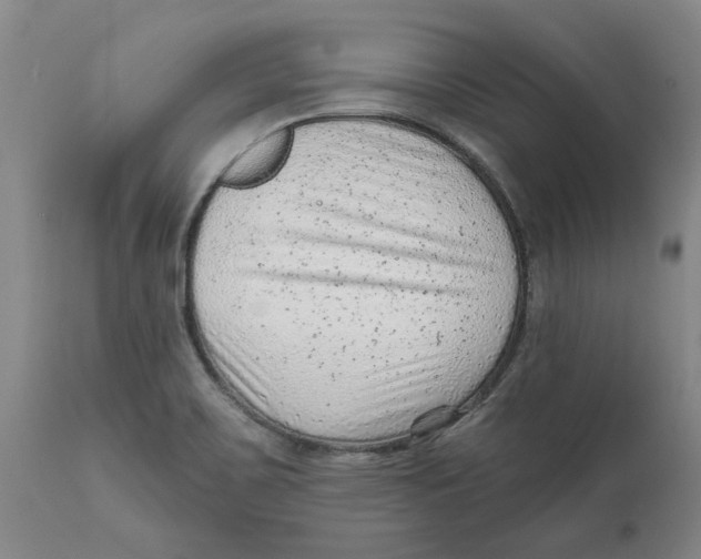 X0000111941467200908241128