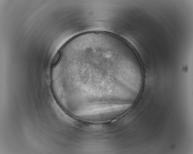 X0000111941468200908241128