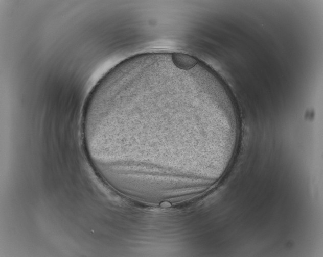 X0000111941469200908241128