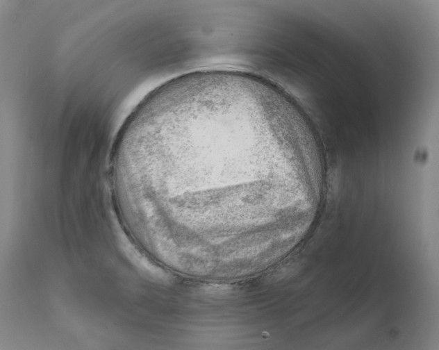 X0000111941470200908241128