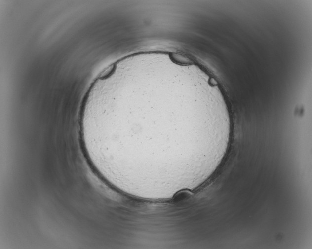 X0000111941471200908241128