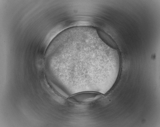 X0000111941473200908241128