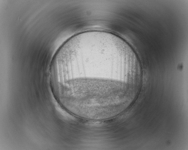 X0000111941474200908241128