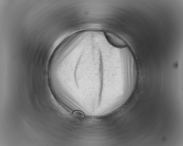 X0000111941475200908241128