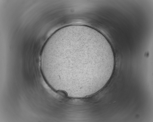 X0000111941476200908241128