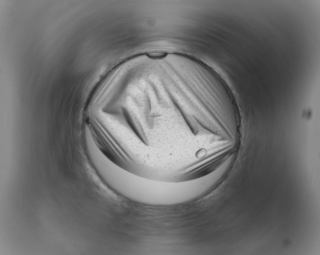 X0000111941477200908241128