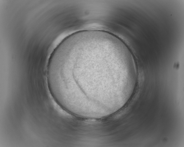 X0000111941478200908241128