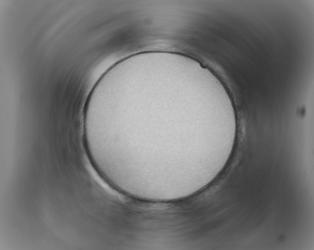 X0000111941479200908241128